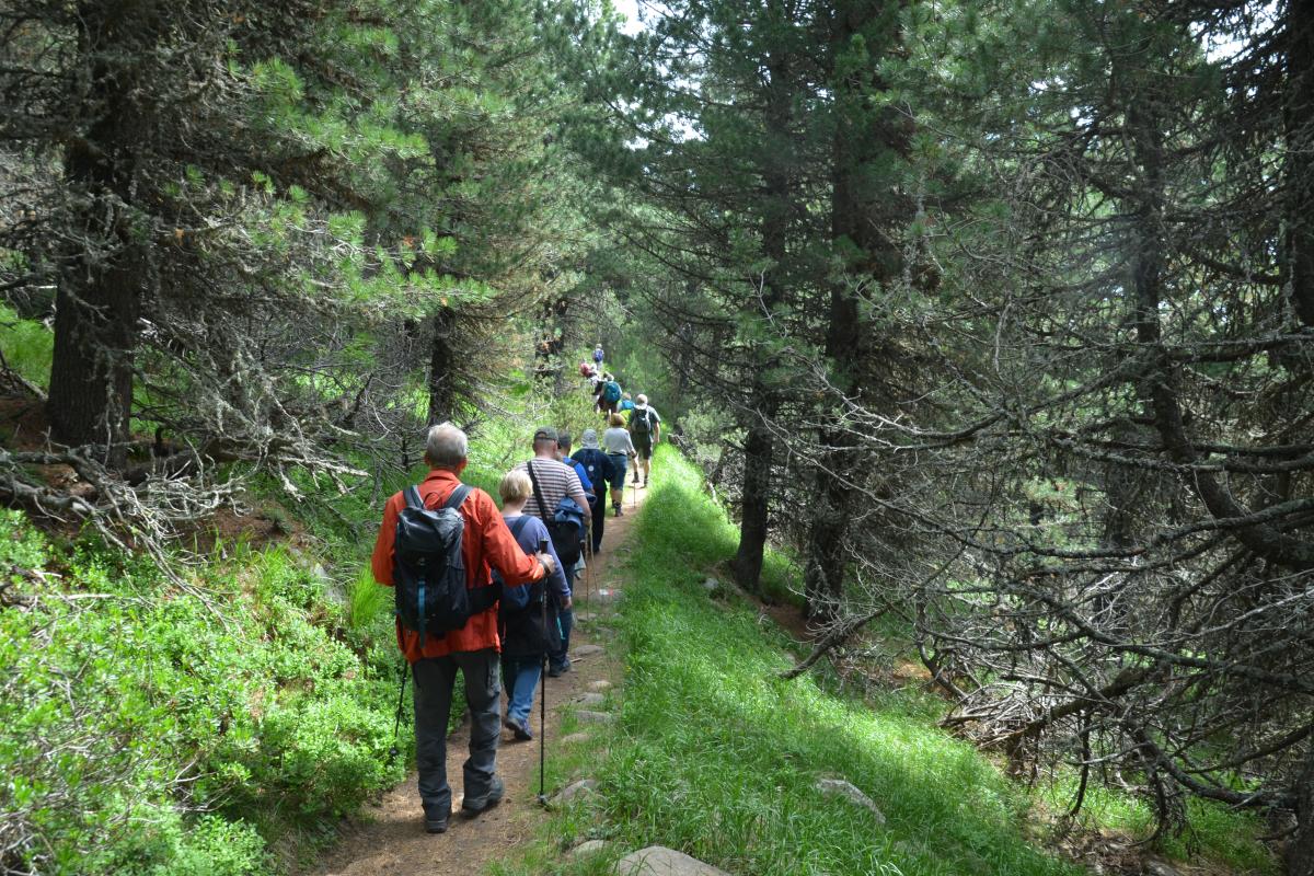 Latschenoelbrennerei und Platzer Alm 09.07.2019